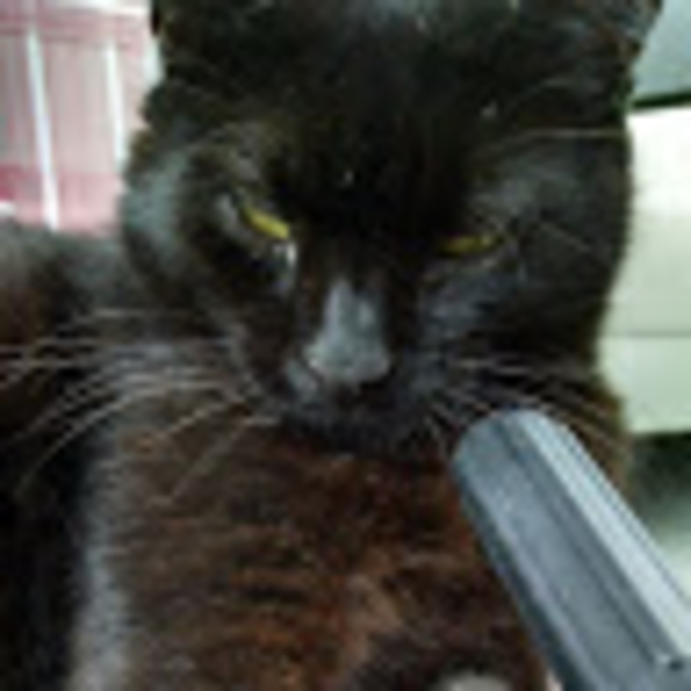 Meet your Posher, Dean Nomadica